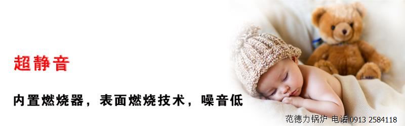 范德力全预混冷凝低氮硅铝燃气锅炉